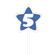 vela-estrela-azul-5