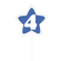 vela-estrela-azul-4