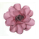 flor-papel-lotus-rosa-seco